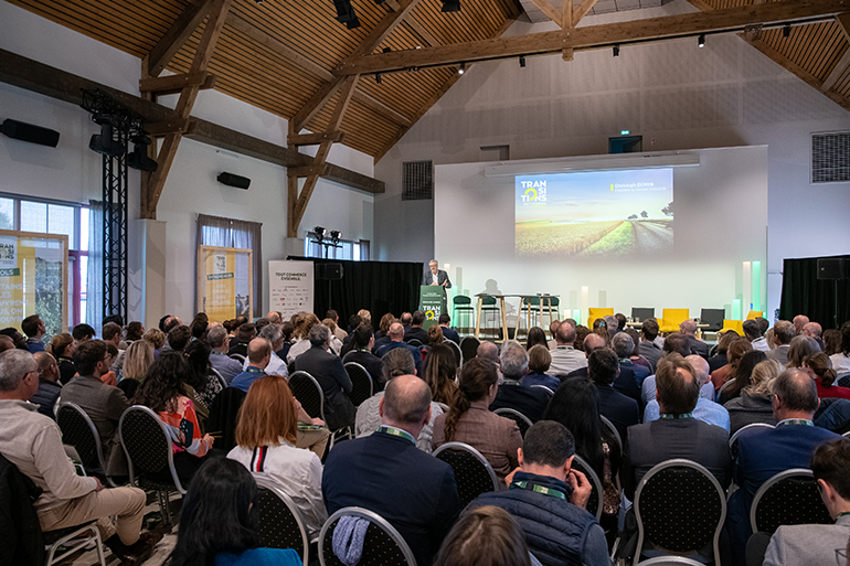 seminar of TRANSITIONS Programme