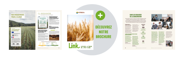 découvrez brochure link