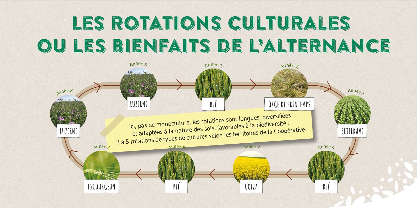 rotations culturales