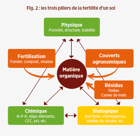 Les trois piliers de la fertilité d'un sol
